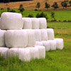 Agro fólie